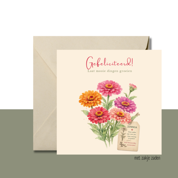 Bloeipost Zinnia 2600505